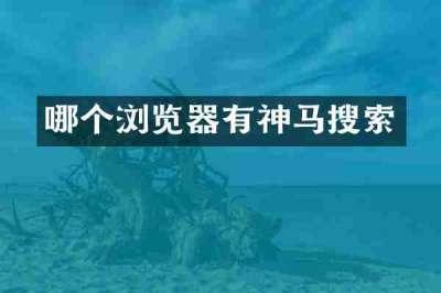 哪个浏览器有神马搜索