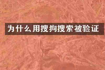 为什么用搜狗搜索被验证