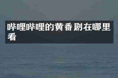 哔哩哔哩的黄番剧在哪里看