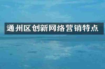 通州区创新网络营销特点