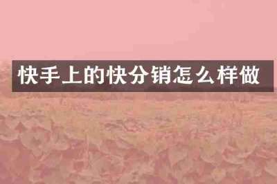 快手上的快分销怎么样做