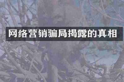 网络营销骗局揭露的真相