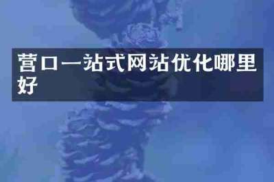 营口一站式网站优化哪里好