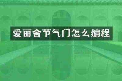 爱丽舍节气门怎么编程
