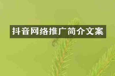 抖音网络推广简介文案