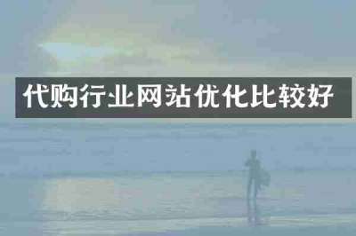 代购行业网站优化比较好