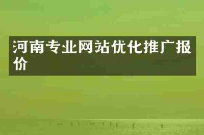 河南专业网站优化推广报价