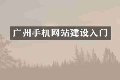 广州手机网站建设入门