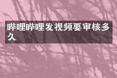 哔哩哔哩发视频要审核多久