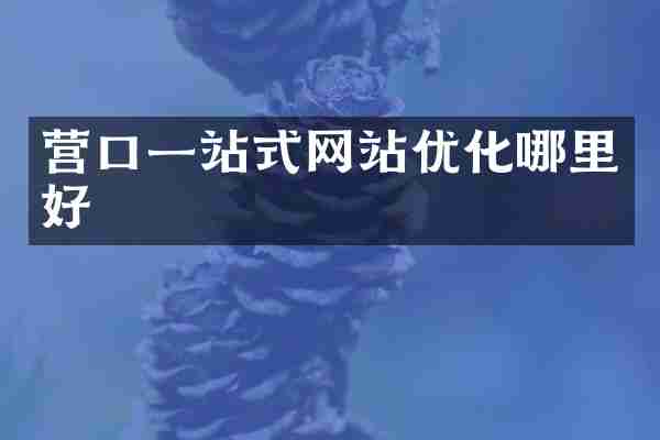 营口一站式网站优化哪里好