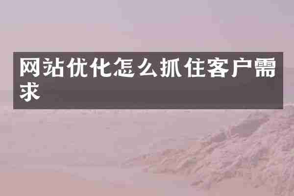 网站优化怎么抓住客户需求
