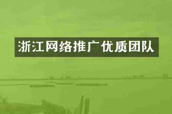 浙江网络推广优质团队