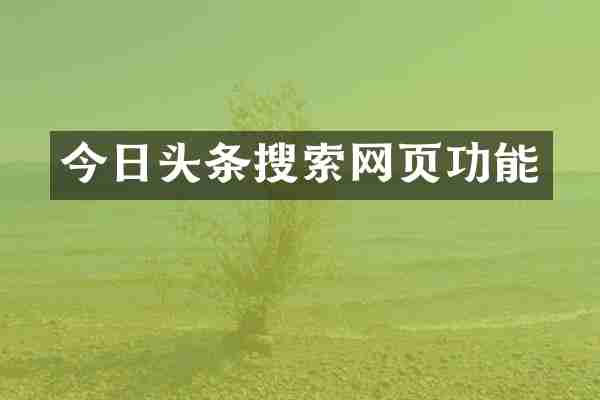 今日头条搜索网页功能