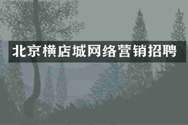 北京横店城网络营销招聘
