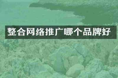 整合网络推广哪个品牌好