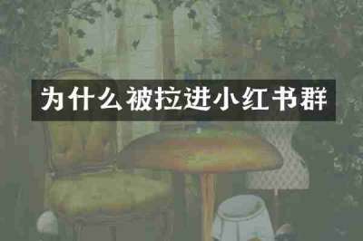 为什么被拉进小红书群