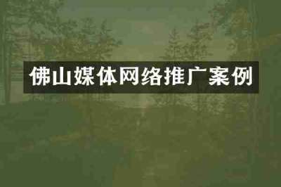 佛山媒体网络推广案例