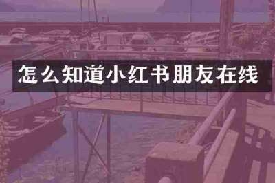 怎么知道小红书朋友在线