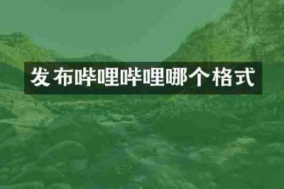 发布哔哩哔哩哪个格式