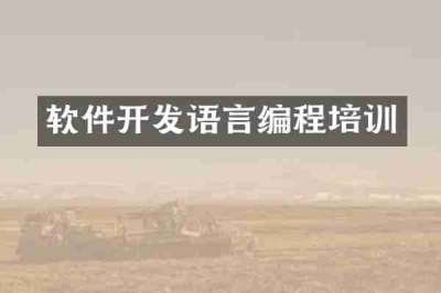 软件开发语言编程培训