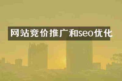 网站竞价推广和seo优化