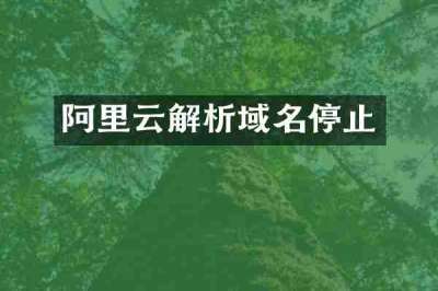 阿里云解析域名停止