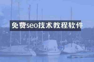 免费seo技术教程软件