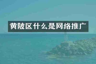 黄陂区什么是网络推广