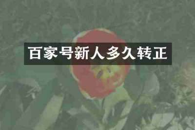 百家号新人多久转正