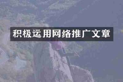 积极运用网络推广文章