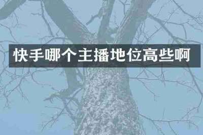 快手哪个主播地位高些啊