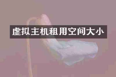 虚拟主机租用空间大小