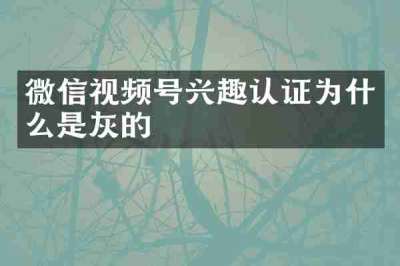 微信视频号兴趣认证为什么是灰的