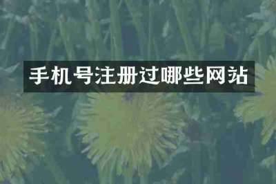 手机号注册过哪些网站