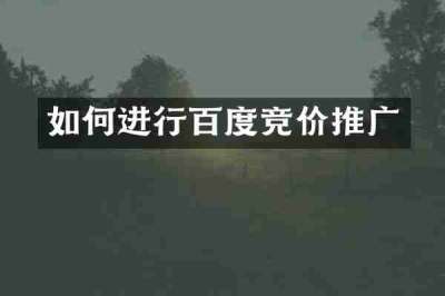 如何进行百度竞价推广