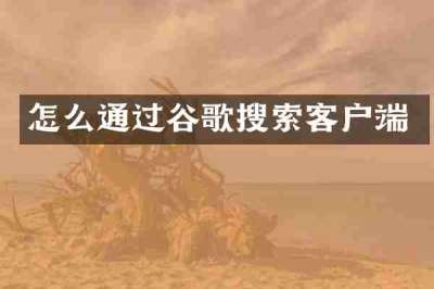 怎么通过谷歌搜索客户端