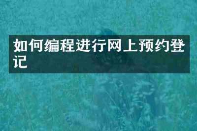 如何编程进行网上预约登记