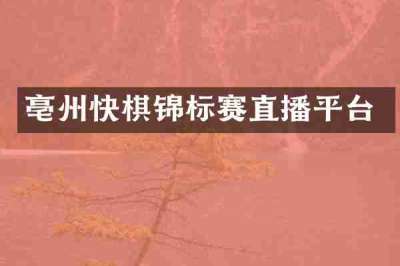 亳州快棋锦标赛直播平台