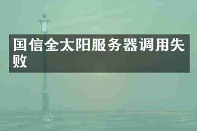 国信金太阳服务器调用失败