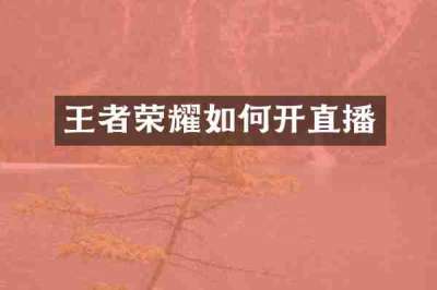 王者荣耀如何开直播