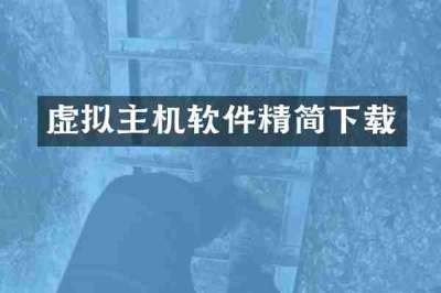虚拟主机软件精简下载
