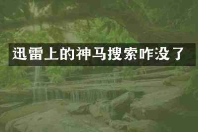 迅雷上的神马搜索咋没了