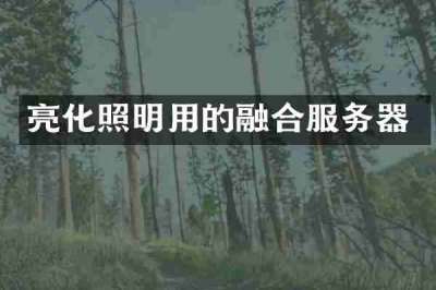 亮化照明用的融合服务器