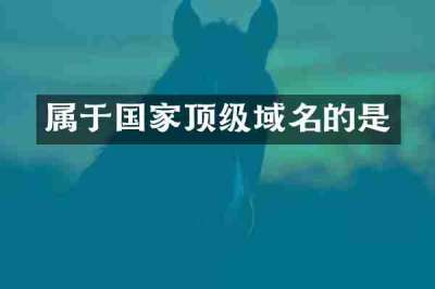 属于国家顶级域名的是