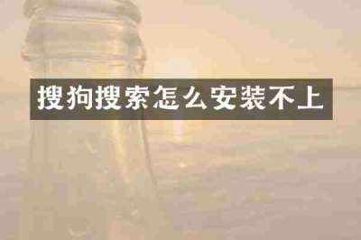 搜狗搜索怎么安装不上