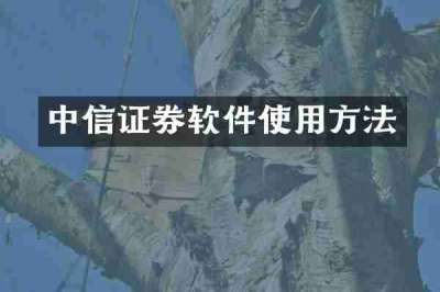 中信证券软件使用方法