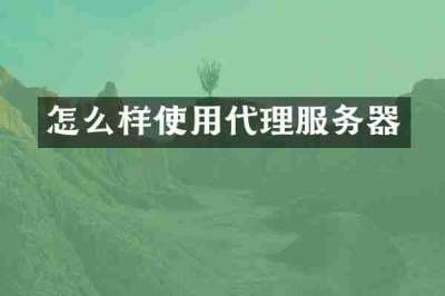 怎么样使用代理服务器