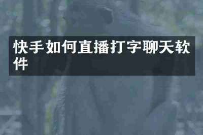 快手如何直播打字聊天软件