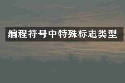 编程符号中特殊标志类型