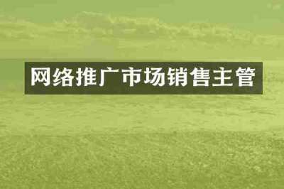 网络推广市场销售主管